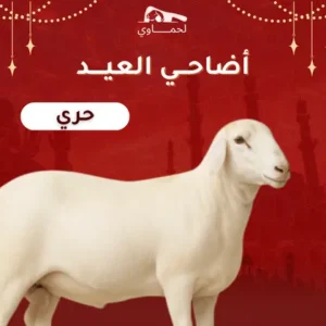 حري من ١٠:١٢شهر ( وزن من ٣٠:٢٦كيلو )
