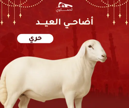 حري من ١٠:١٢شهر ( وزن من ٣٠:٢٦كيلو )