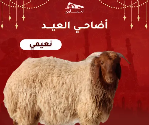 نعيمي من ١٠:١٢شهر ( وزن ٣٠:٢٦ كيلو )