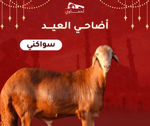 سواكني من١٠:١٢شهر ( وزن ٣٠:٢٦ كيلو )