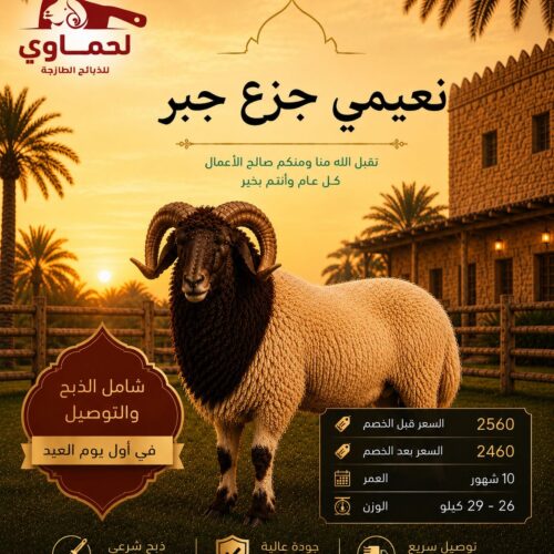 خروف نعيمي جزع جبر