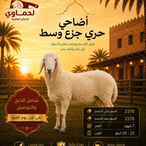 خروف حري جزع وسط