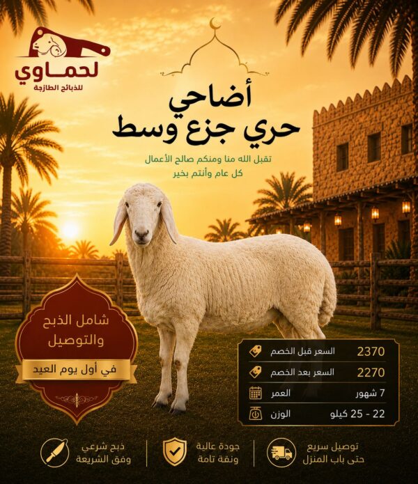 خروف حري جزع وسط