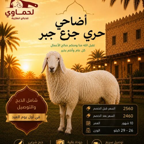 خروف حري جزع جبر
