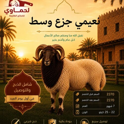 خروف نعيمي جزع وسط
