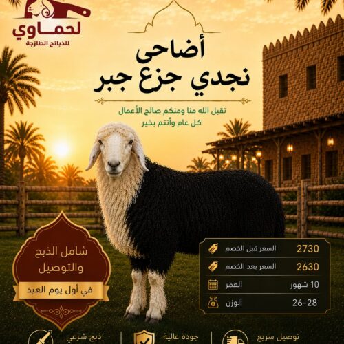 خروف نجدي جزع جبر