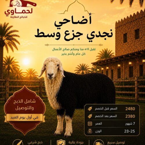 خروف نجدي جزع وسط