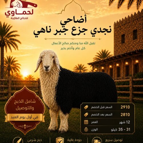 خروف نجدي جزع جبر ناهي
